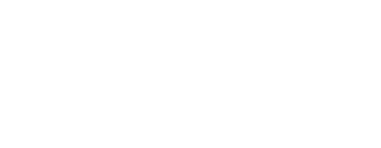 THE FOCUS ON INNOVATION